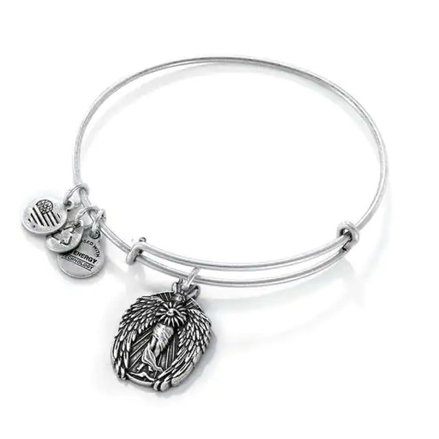 Alex and Ani Guardian of Knowledge Charm Bangle in Silver-Tone Brass