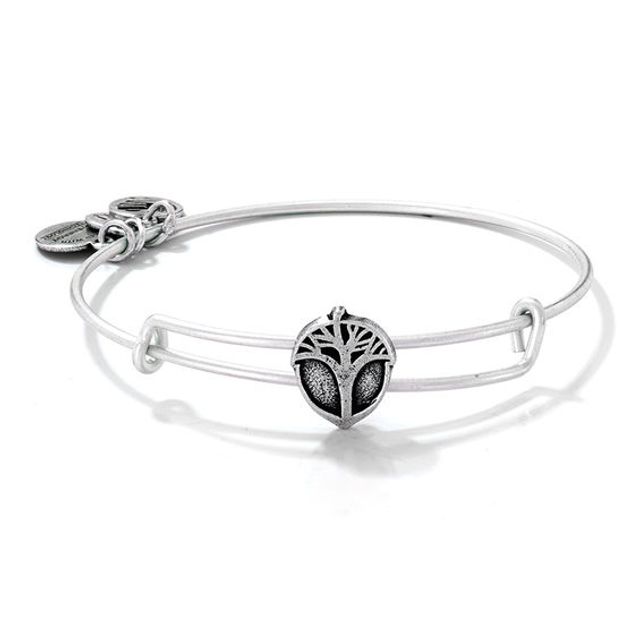 Alex and Ani Unexpected Miracles Tree Slider Charm Bangle in Silver-Tone Brass