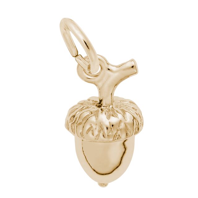Rembrandt CharmsÂ® Acorn in 14K Gold