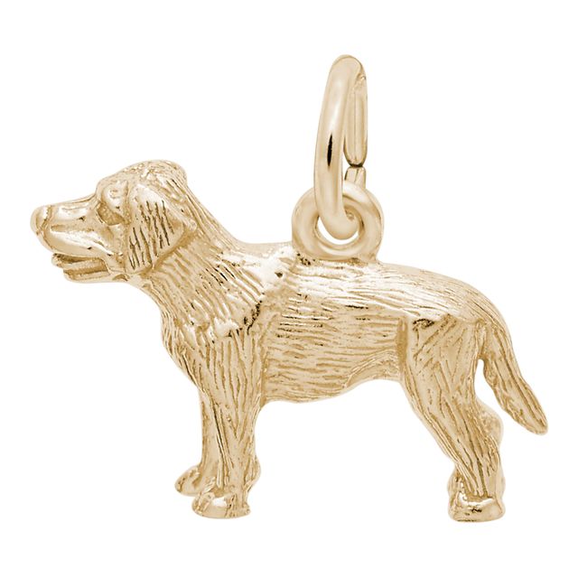 Rembrandt CharmsÂ® Labrador Retriever in 14K Gold