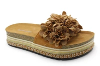 2645 TAN