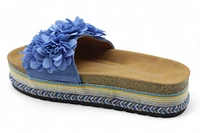 2645 BLUE