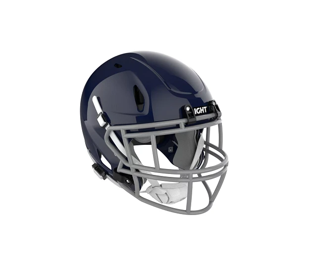 Schutt VENGEANCE Z10LTDMサイズ立命
