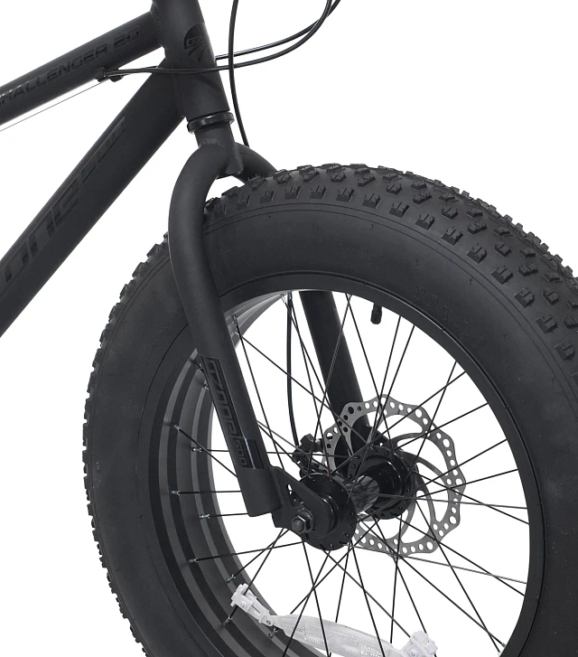 Ozone 500 Boys' Challenger Fat Tire 20