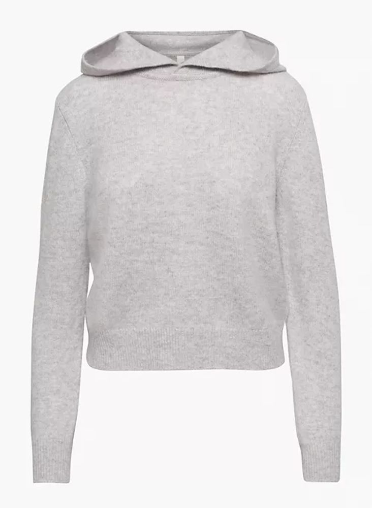 Aritzia hotsell cashmere hoodie