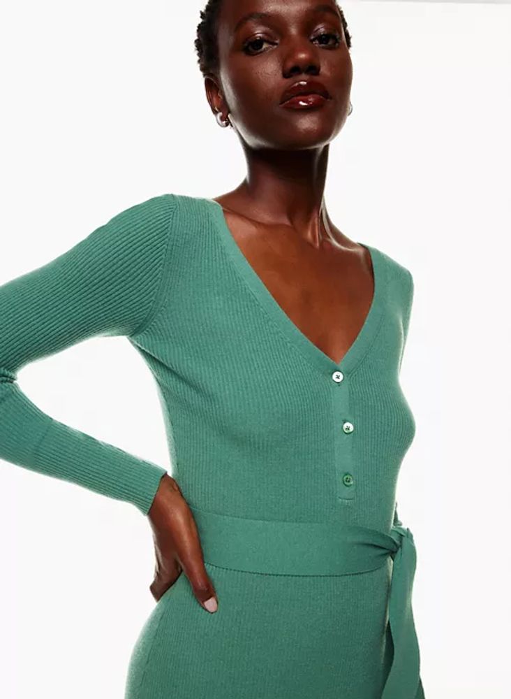 Aritzia deals sweater dress