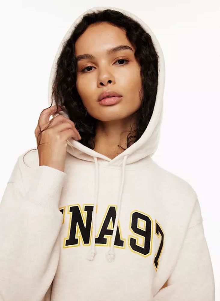 Aritzia cozy deals boyfriend hoodie