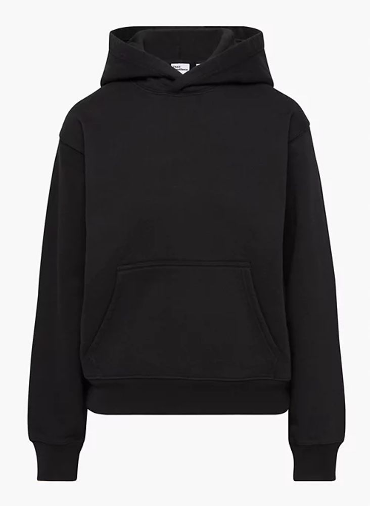 Aritzia tna perfect best sale hoodie