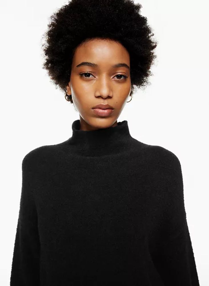Wilfred free turtleneck sweater outlet