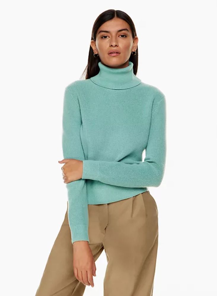 Turtleneck aritzia outlet