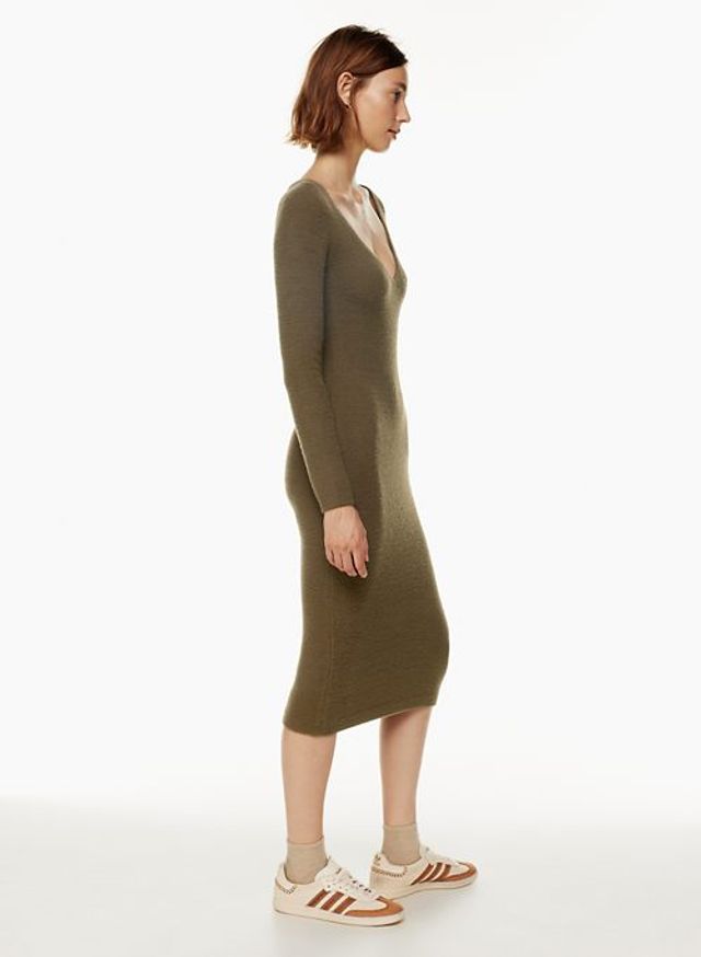 Aritzia streep deals dress
