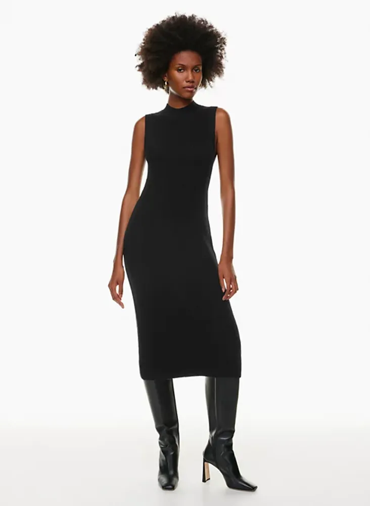 Aritzia online turtleneck dress