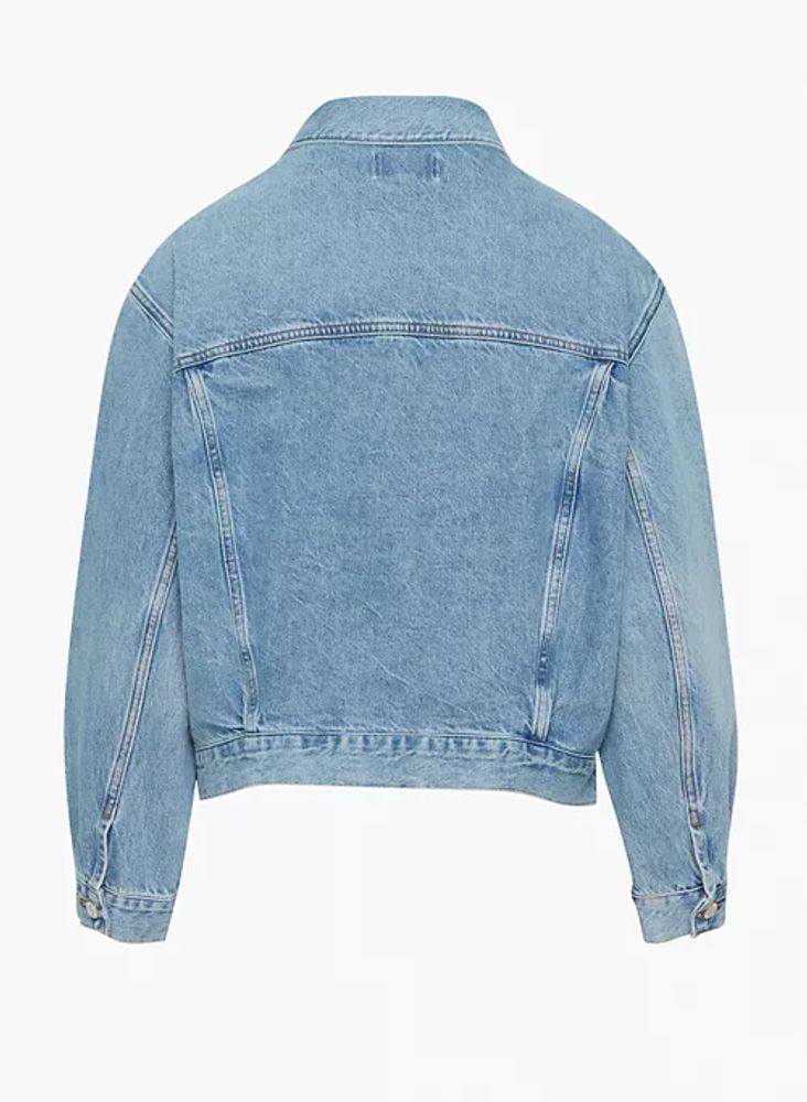 Aritzia denim jacket online