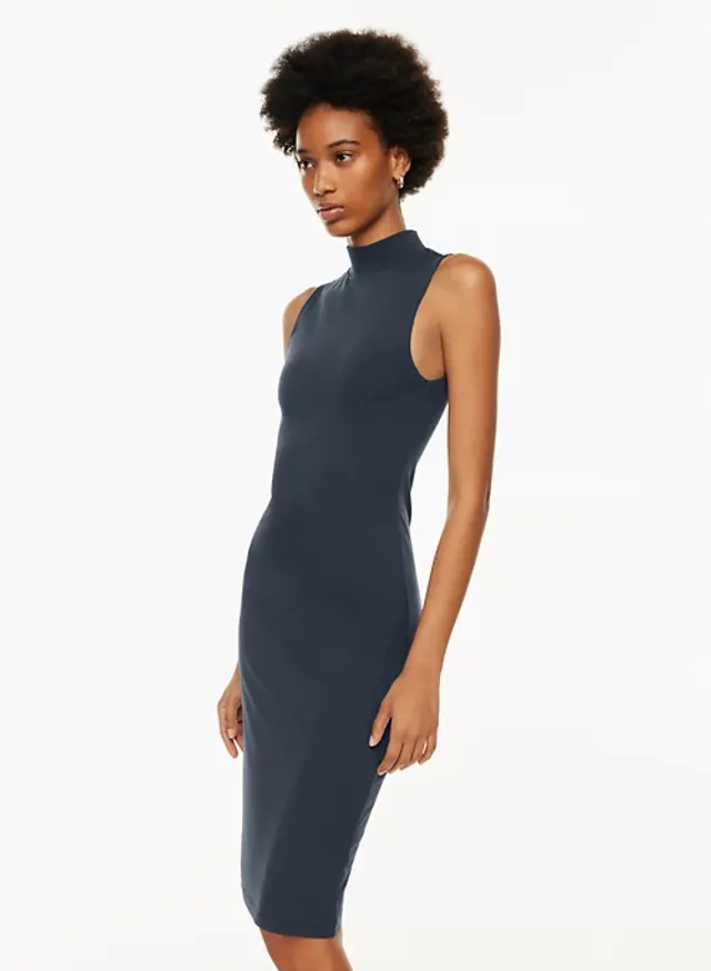 Aritzia matheson dress online