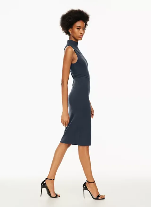 Babaton Contour Mockneck Mini Dress Coquitlam Centre