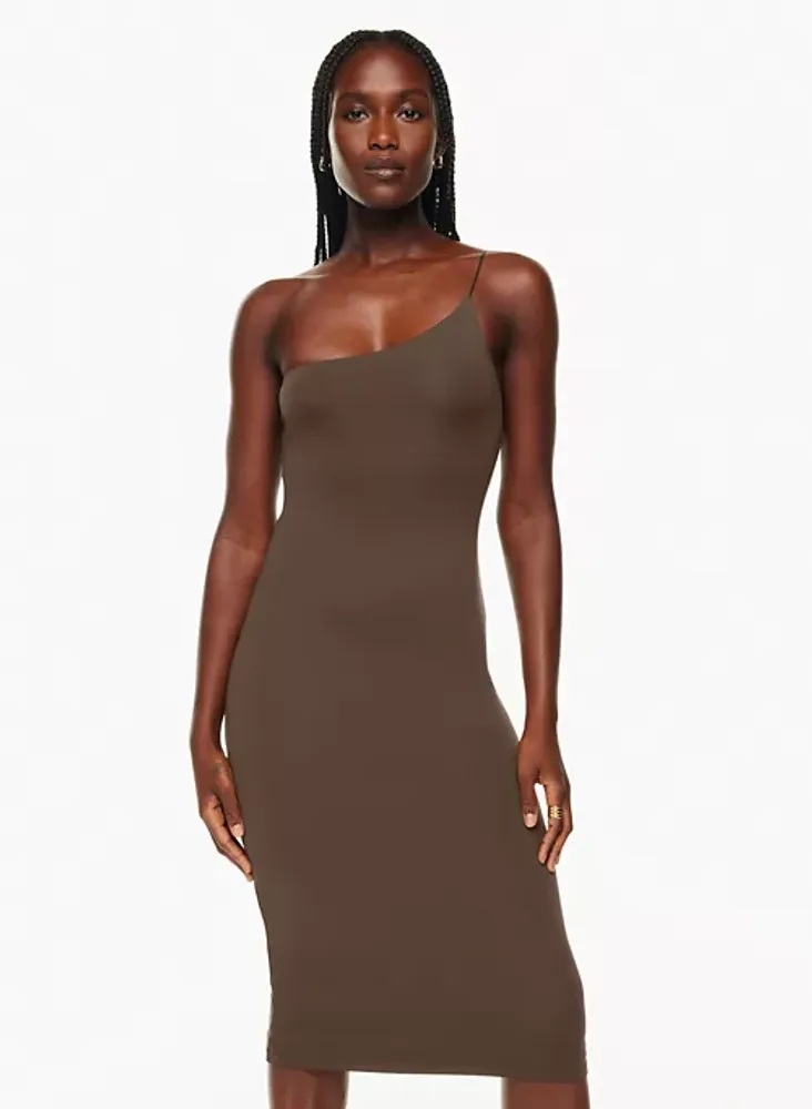 Aritzia louise dress 2025