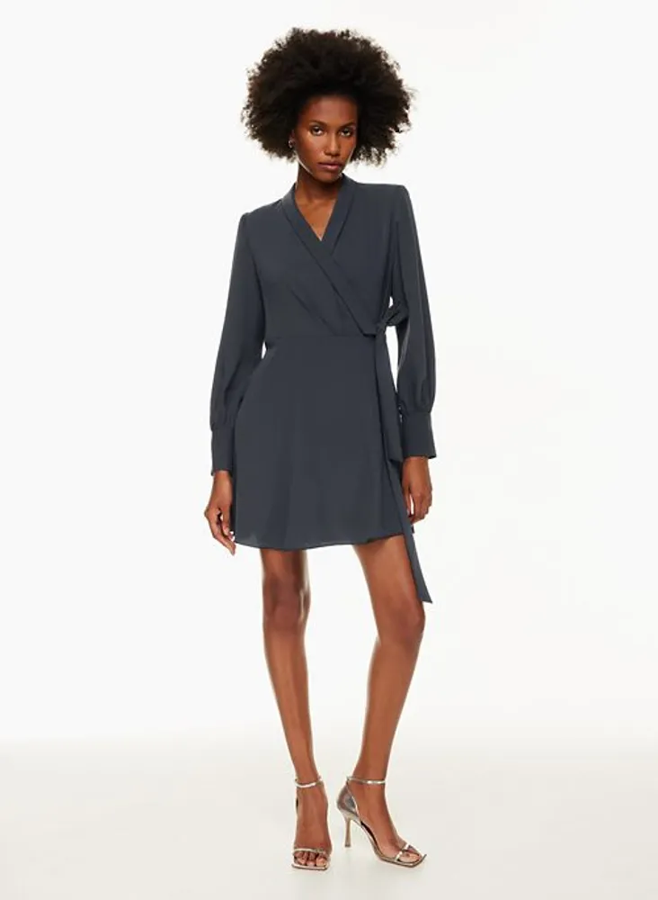 Aritzia shop louise dress