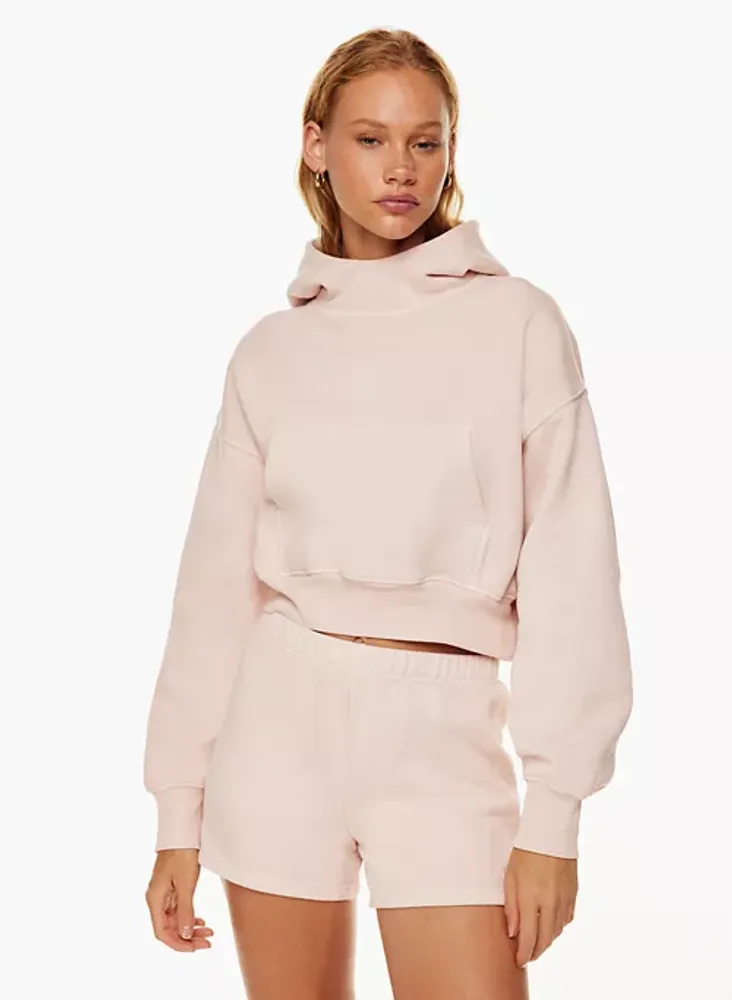 Aritzia shrunken hoodie sale