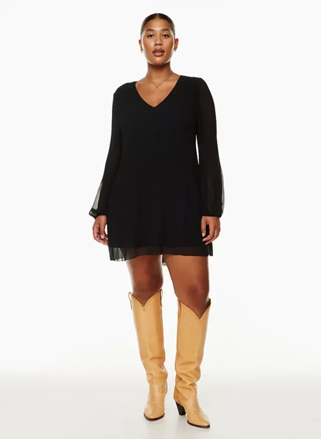 Aritzia store shift dress