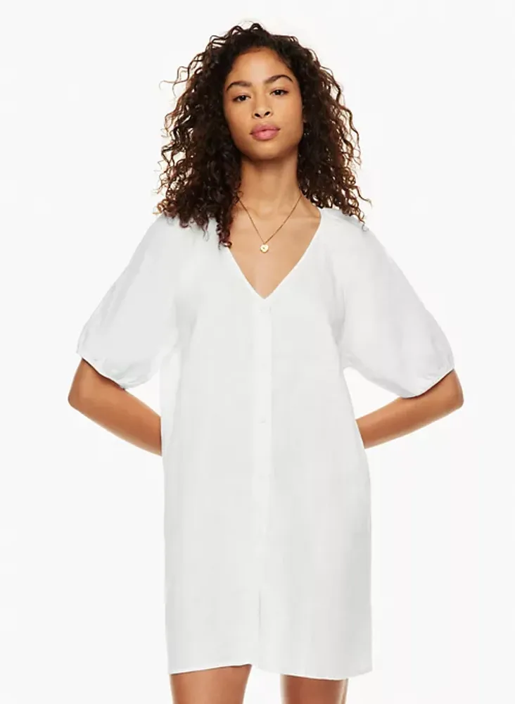 Aritzia shop shift dress