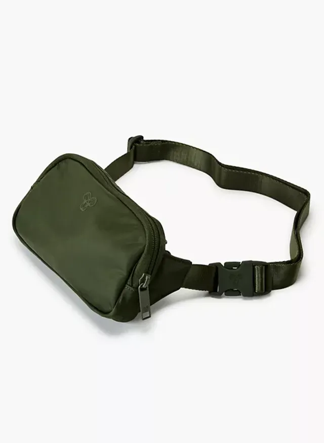 Aritzia cheap fanny pack