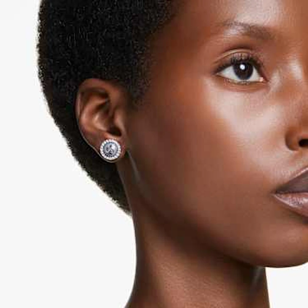 Swarovski stud earrings canada hot sale