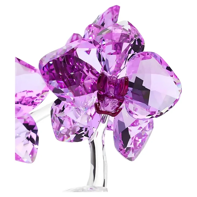 Swarovski Crystal Flowers Orchid by SWAROVSKI at Coquitlam Centre
