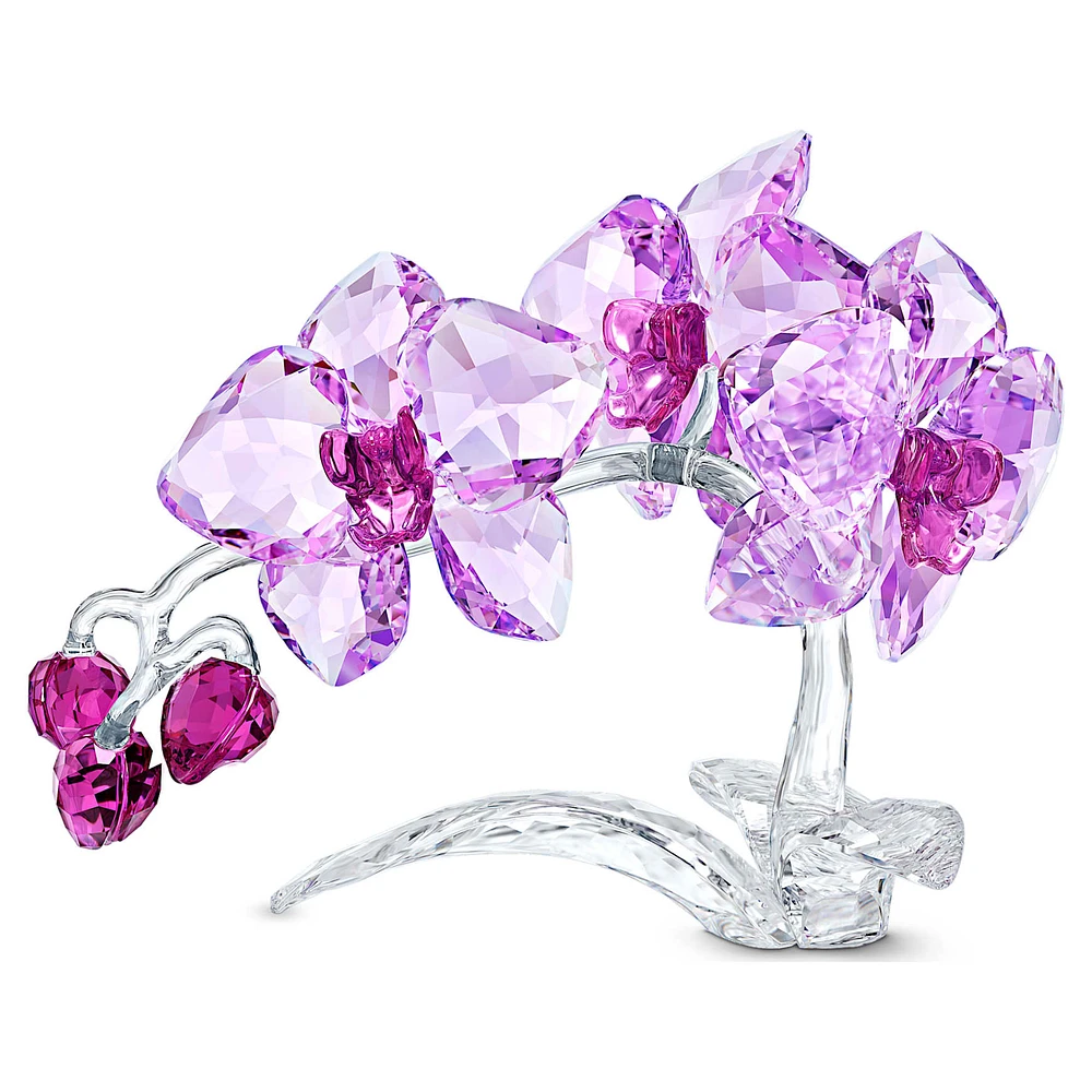 Swarovski Crystal Flowers Orchid | Arden Fair