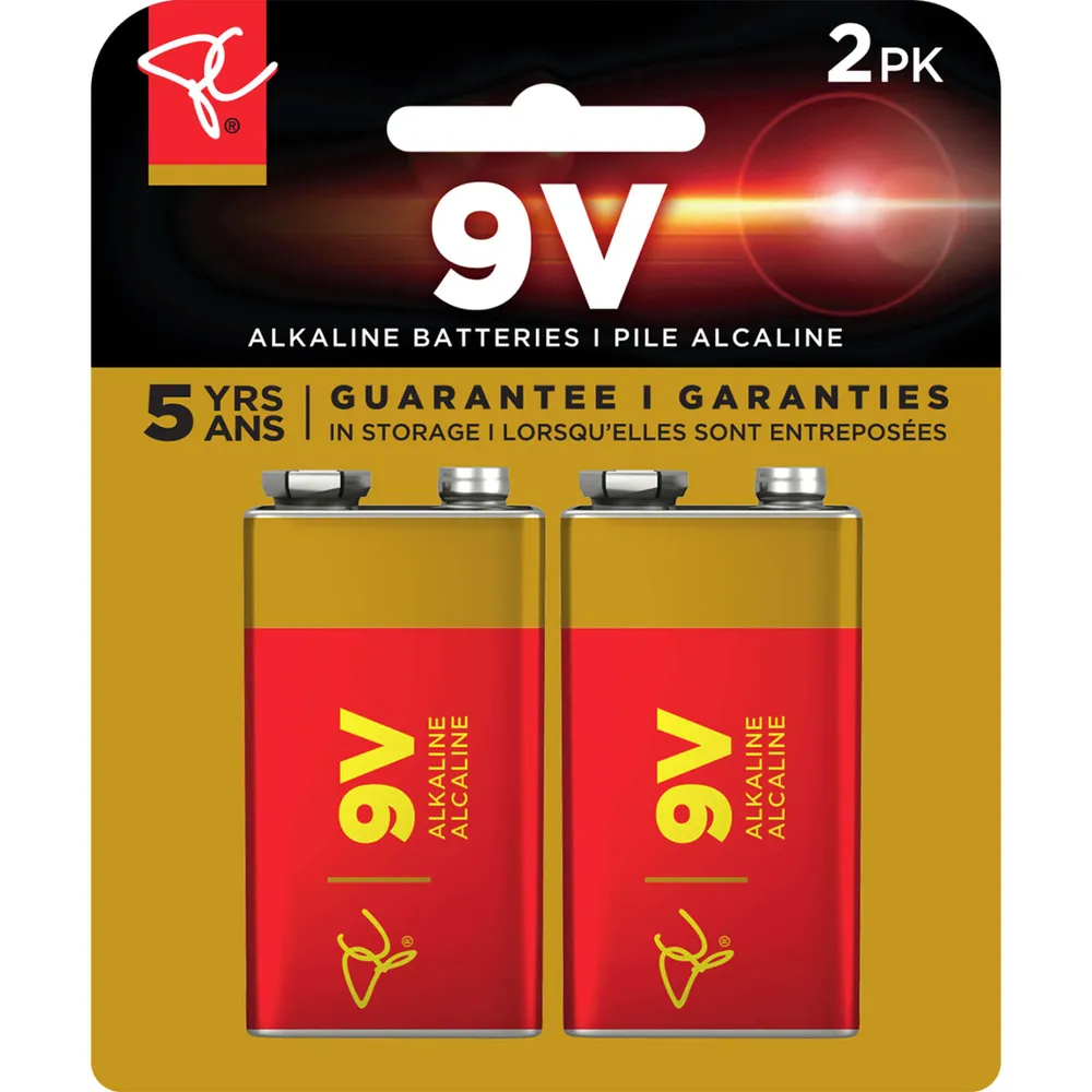 Long Life Alkaline Batteries 9V 2 Pack