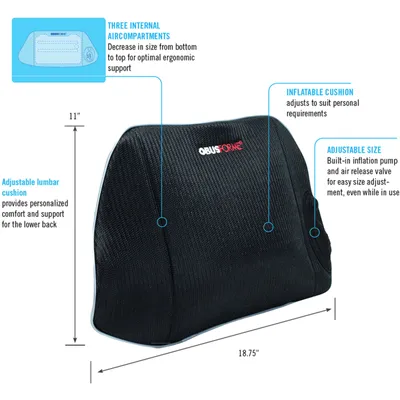 Inflatable ring cushion outlet shoppers drug mart