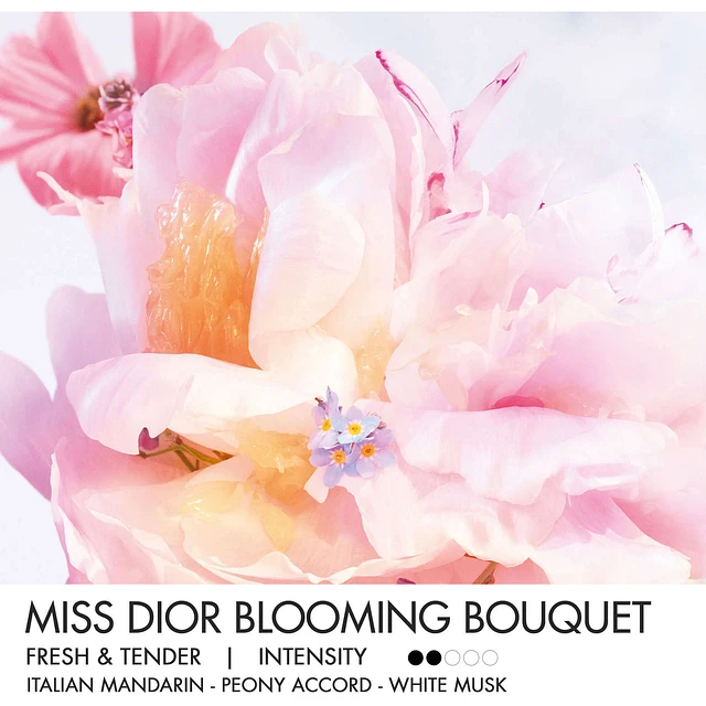 Miss dior shoppers outlet