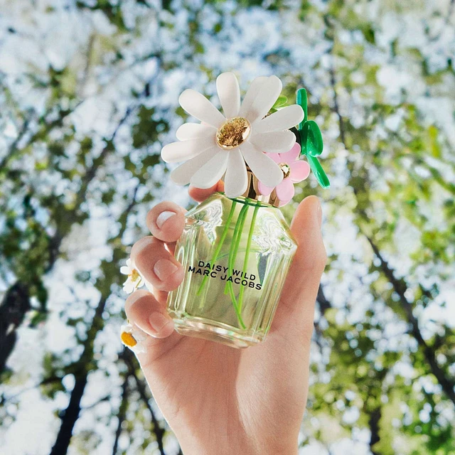 Daisy perfume shoppers deals