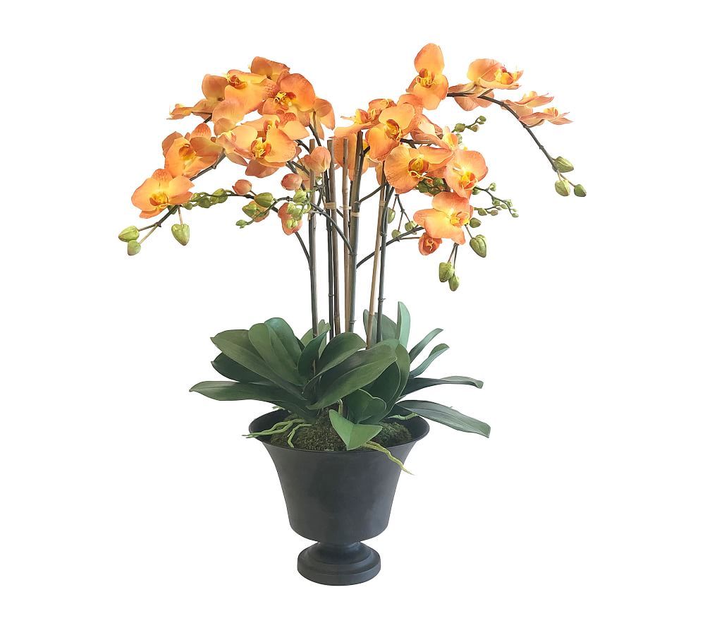 Pottery Barn Faux Orange Moth Orchids in Planter The Summit