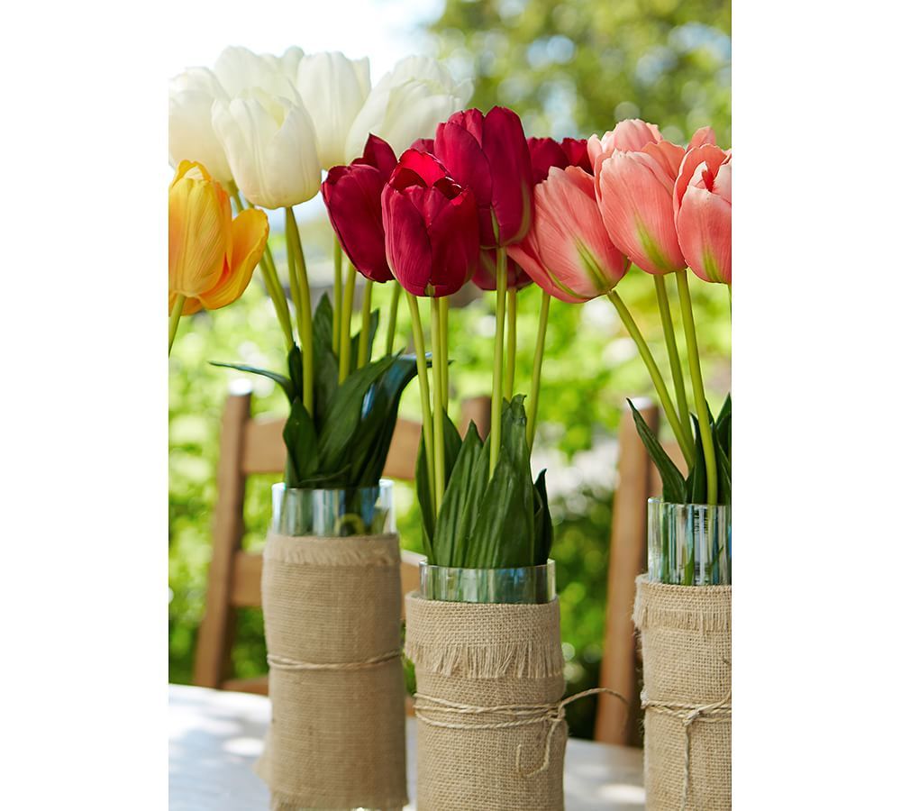 Pottery Barn Long Stem Tulip The Summit