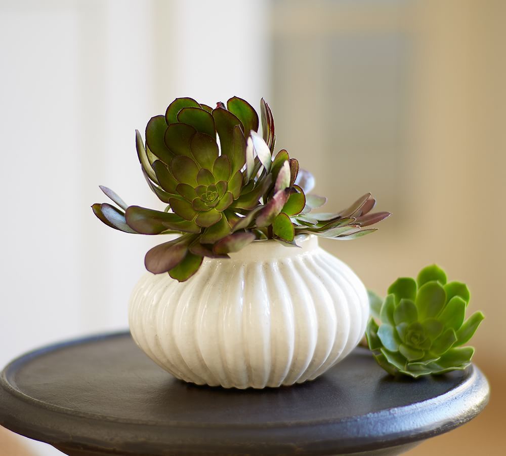Pottery Barn Ribbed Ceramic Vase The Summit