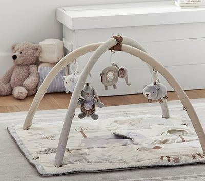 Pottery Barn Kids Skip Hop Abc Play Gym | The Summit