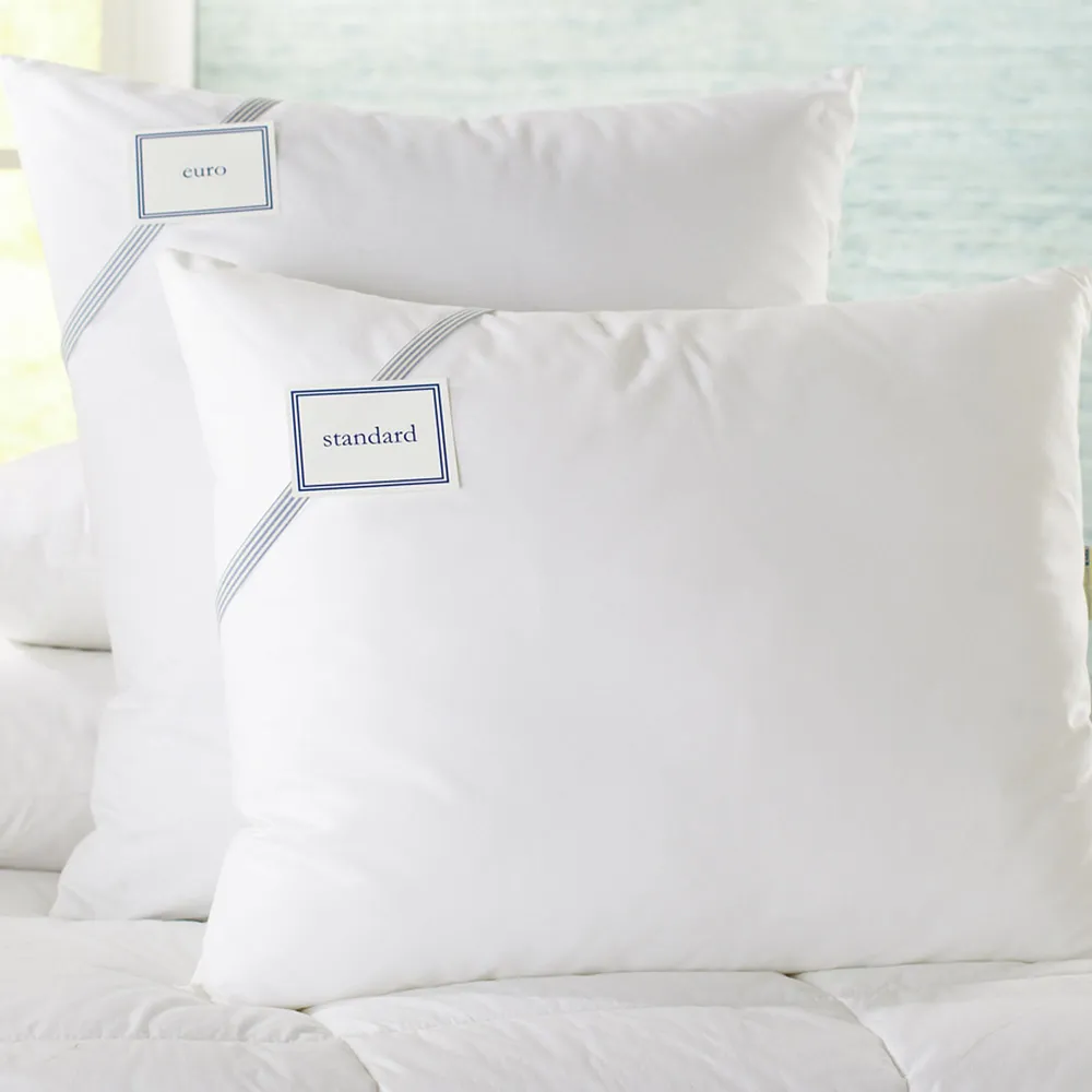 West elm deals euro pillow