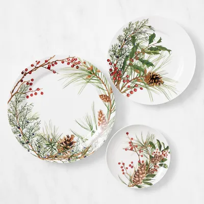 Williams Sonoma AERIN Alpine 12 Piece Dinnerware Set Bethesda Row