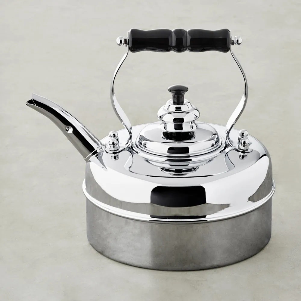 Bonjour stainless outlet steel tea kettle