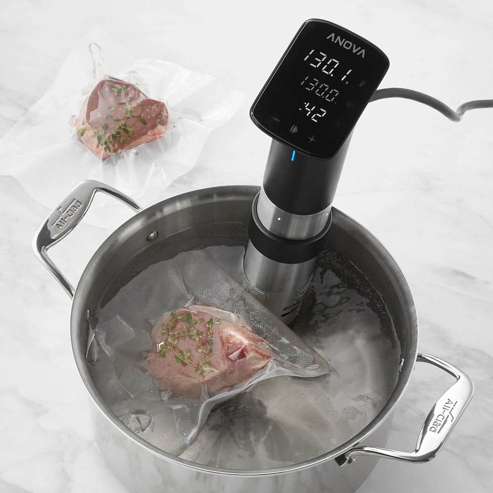 Williams-Sonoma Anova Precision® Pro Sous Vide Cooker with