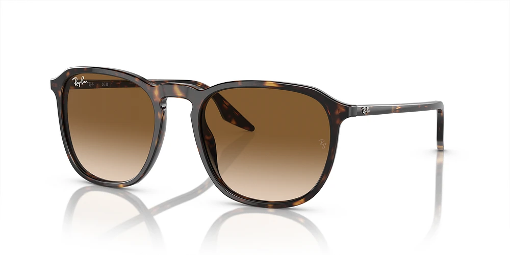 Sunglass hut willow bend online