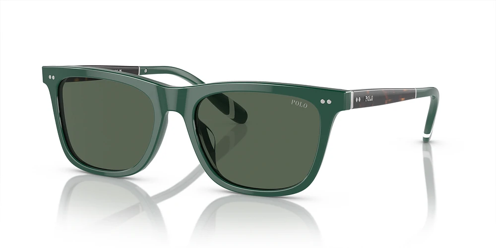Sunglass hut ralph on sale