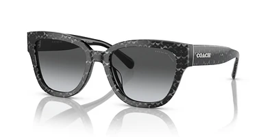 Sunglass hut coach outlet