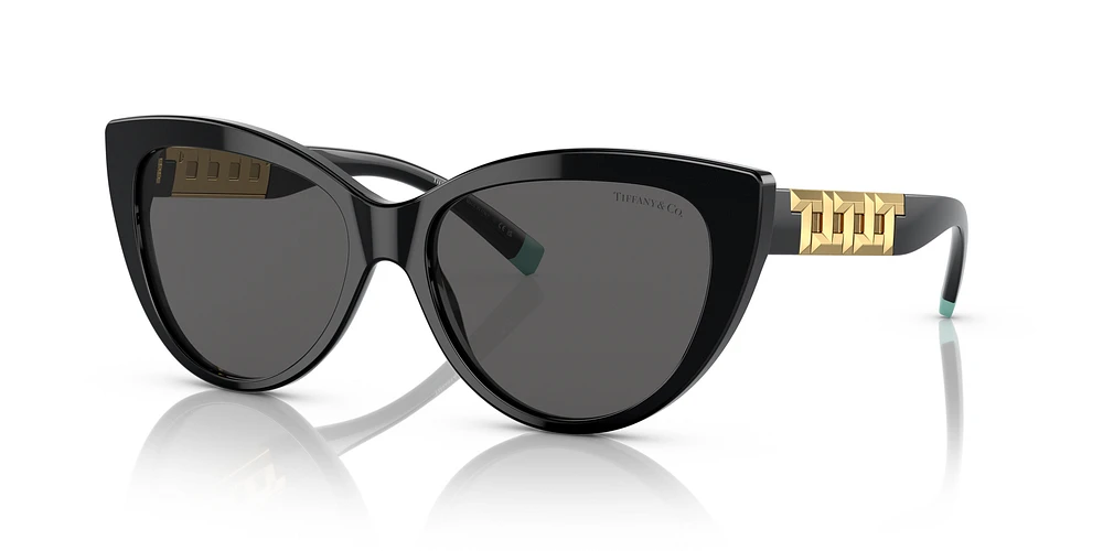 Tiffany and co sunglasses sunglass hut cheap