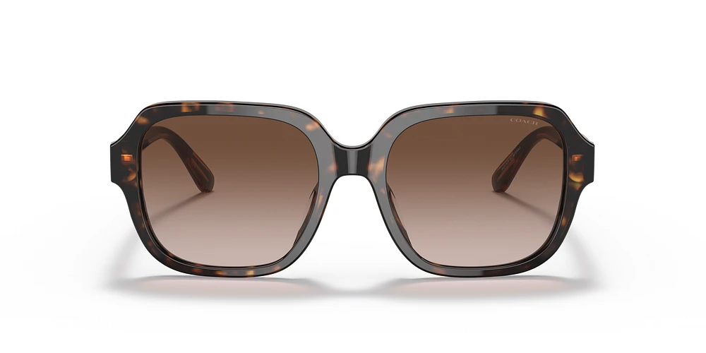 Coach sunglasses 2013 online