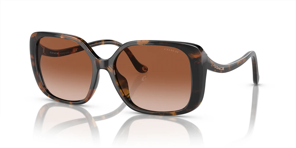Coach sunglasses 2013 discount