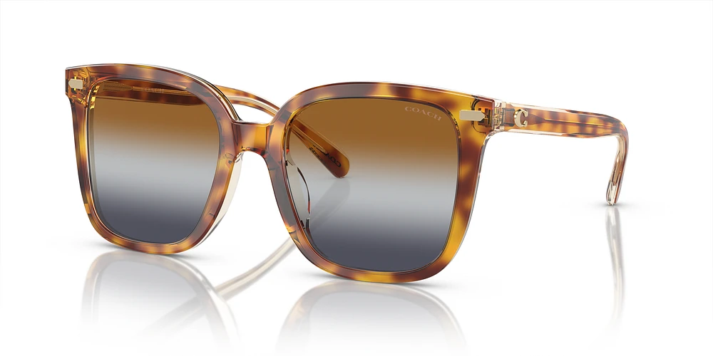 Sunglass hut coach hot sale