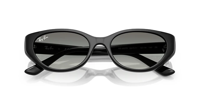Ray-Ban RB4457D Bio-Based | Arden Fair