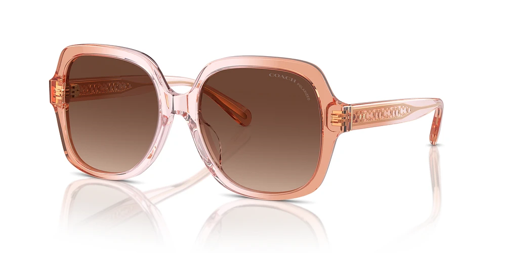 Sunglass hut coach cheap