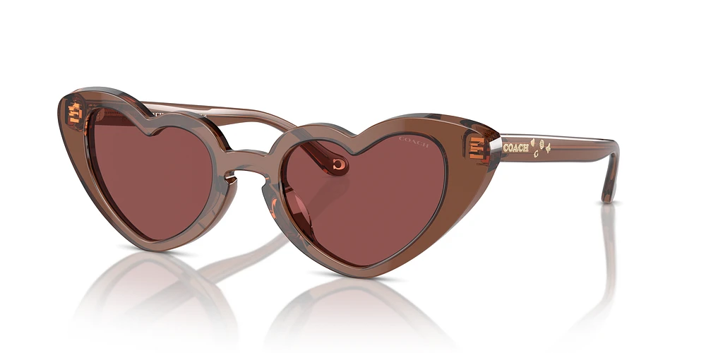 Sunglass hut coach outlet